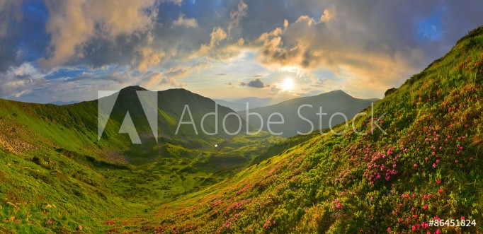 Picture of Mountains and flowers